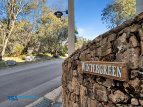 Wintergreen 5